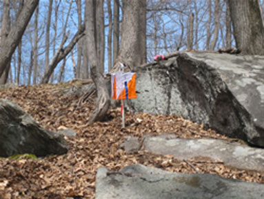 Orienteering