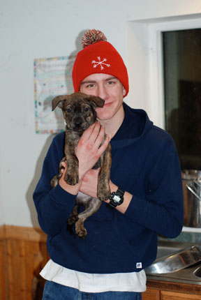 Puppy